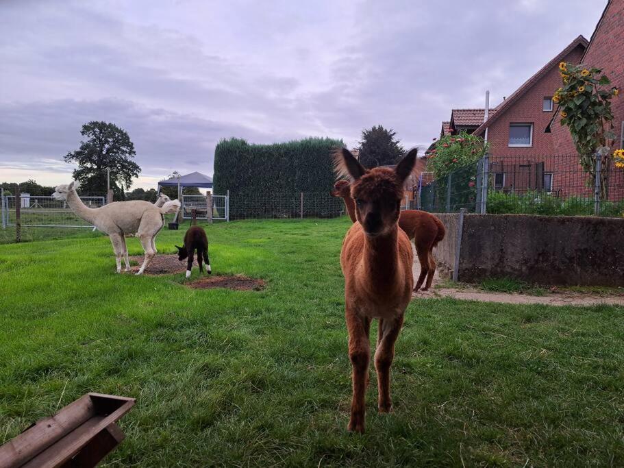 Das Bergherz Ruhe + Natur Pur Reken Exterior foto